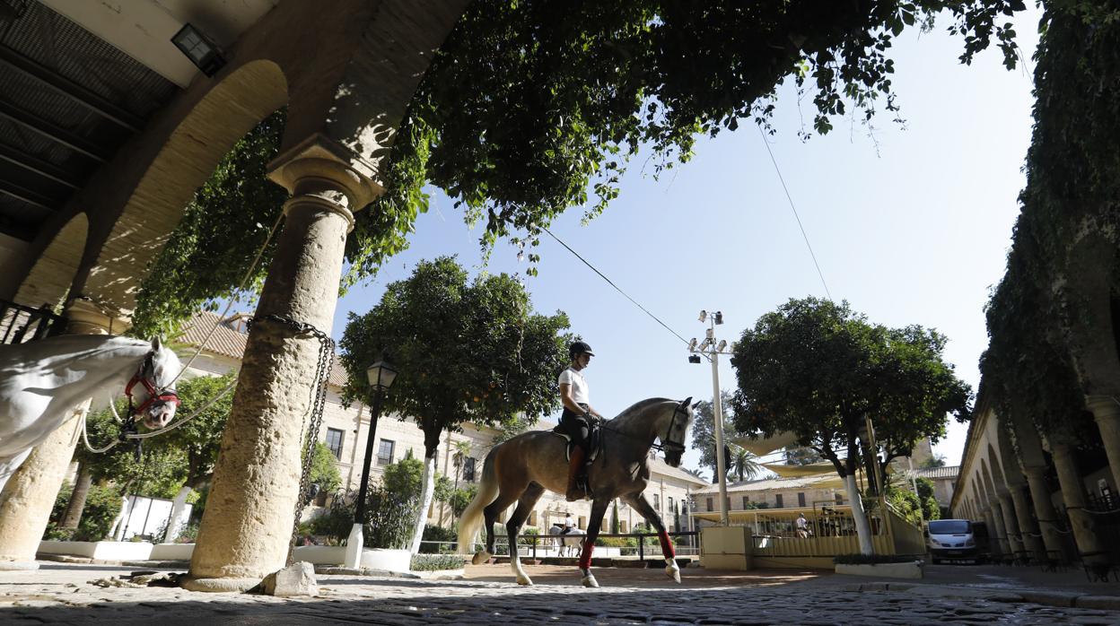 Interior de las Caballerizas Reales