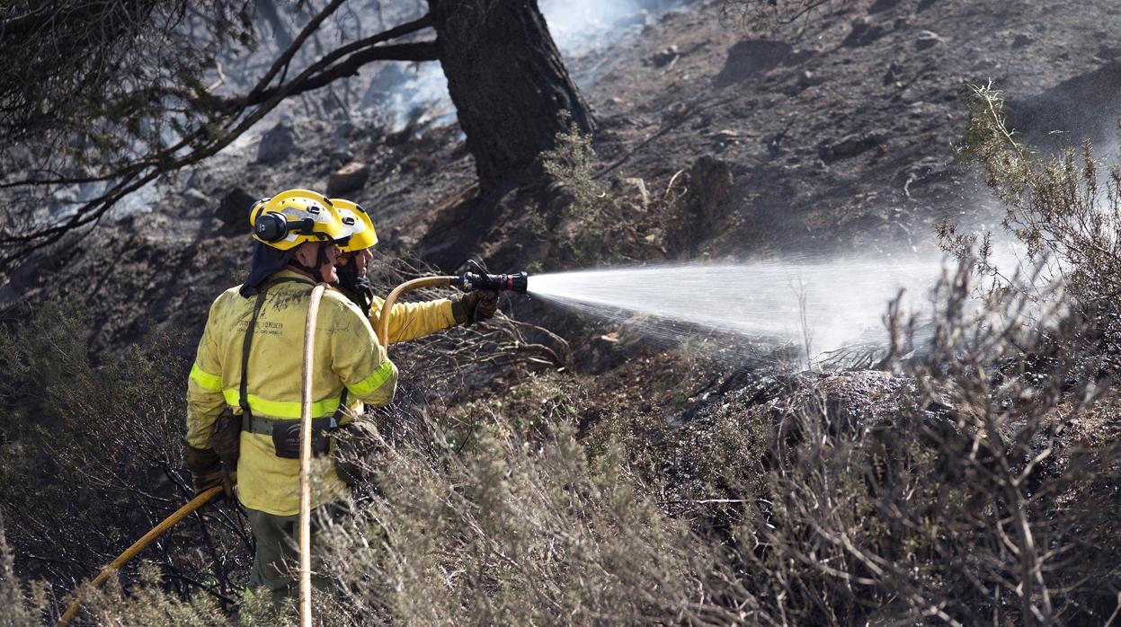 Efectivos del Infoca trabajan en la extinción de un incendio forestal declarado esta mañana en el paraje del Túnel de la Gorgoracha