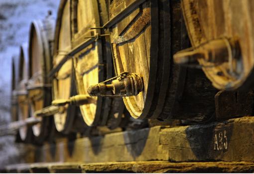 Bodegas del Marco de Jerez que podrán ser visitadas