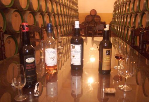 Bodegas Páez Morilla
