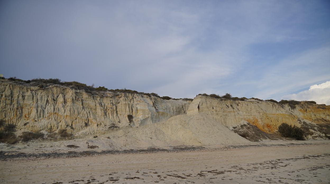 Camino realizado en el monumento natural del Asperillo