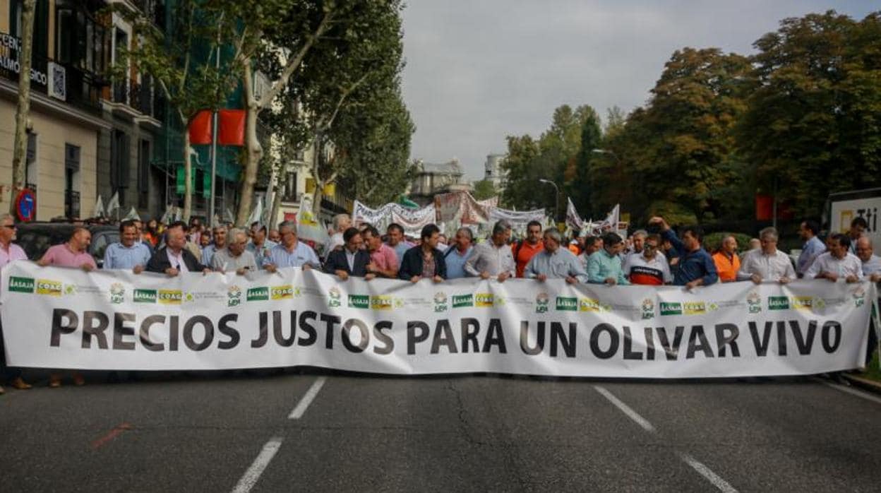 Manifestación en Madrid para exigir medidas contra la crisis del aceite de oliva