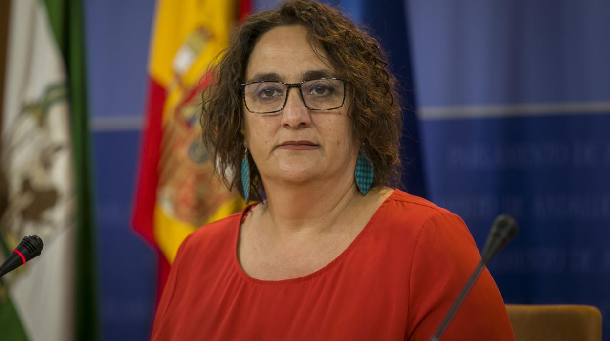 Adelante Andalucía discrepa del pacto entre Iglesias y Sánchez y el PSOE andaluz lo apoya