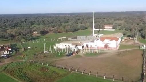 Vista área de la finca en el parqua de Cardeña y Montoro