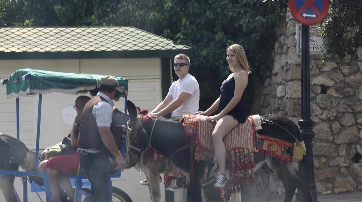 Turistas a lomos de un burro-taxi en Mijas
