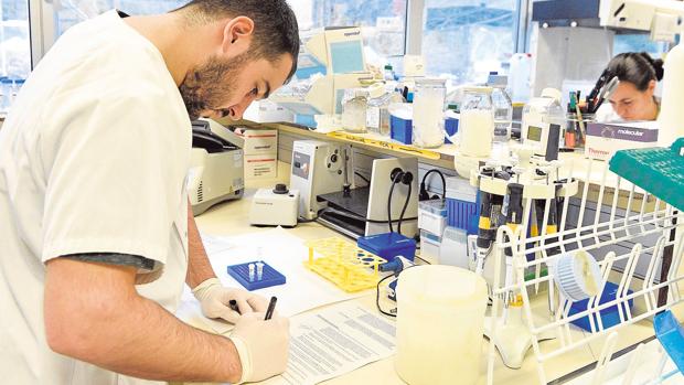 Tratamientos contra el VIH y «Chemsex» disparan las infecciones de transmisión sexual en Andalucía