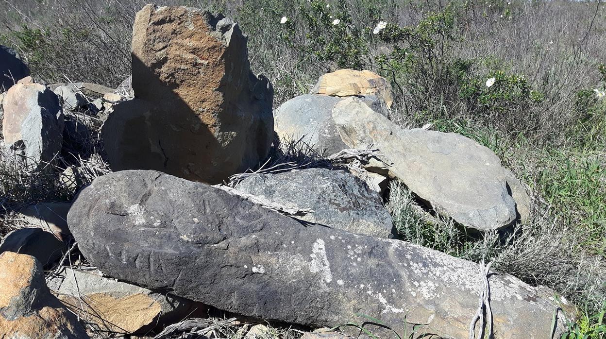 Algunas de las piezas halladas en la zona