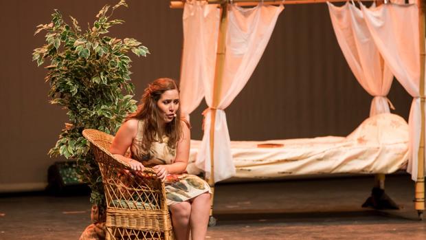 Agenda de Córdoba | Último día para ver el musical «Butterfly»