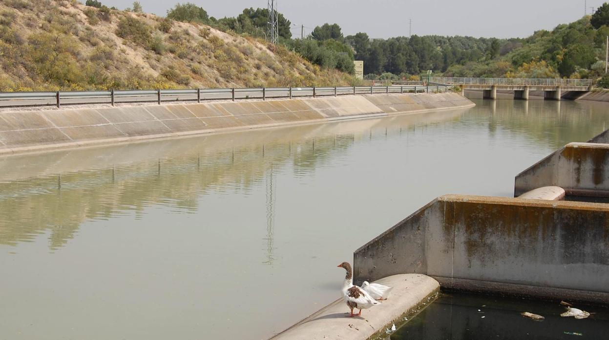 Imagen de archivo de la infraestructura de regadío Genil-Cabra