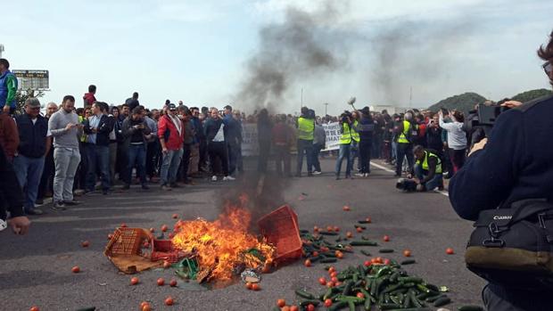 Los agricultores cortan la Autovía del Mediterráneo para protestar por la crisis del sector hortofrutícola