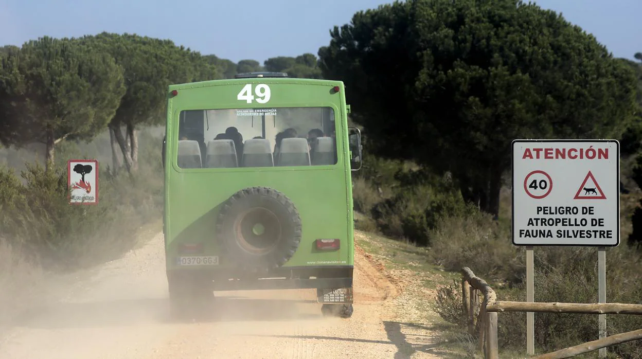 Un autobús entra en Doñana