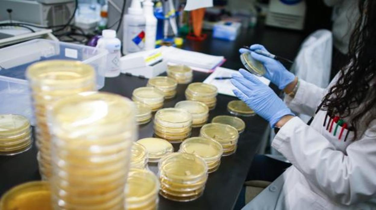 Los pacientes se encuentran aislados en sus domicilios