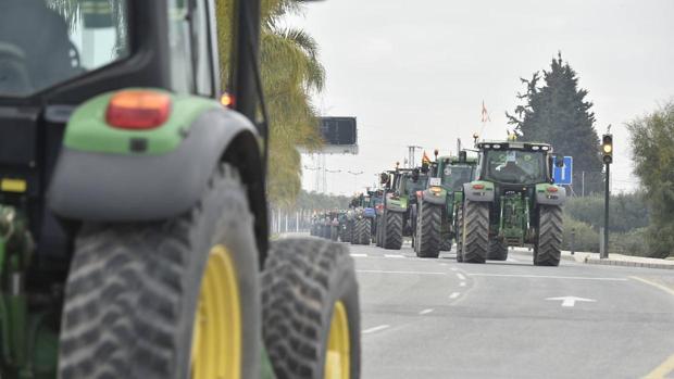 Un corrimiento de tierra alarma a los agricultores en la costa de Granada