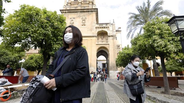 Ponga un canario en su vida