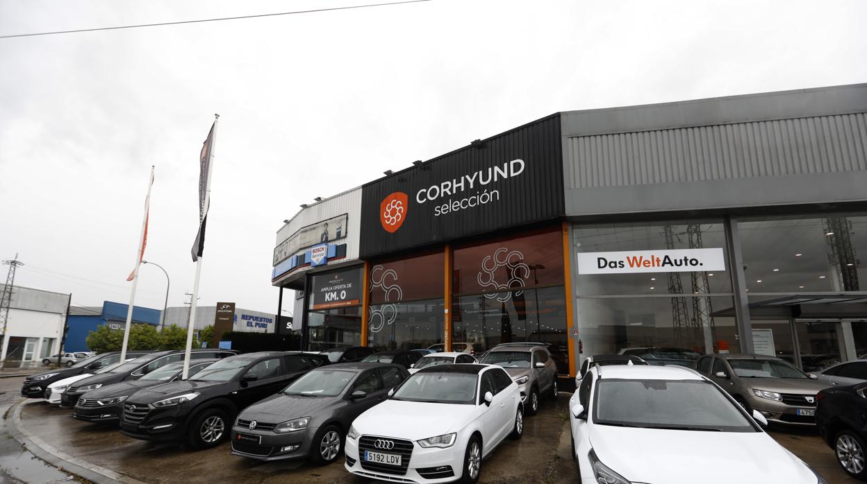 Imagen de Cordhyund, este martes, en Córdoba