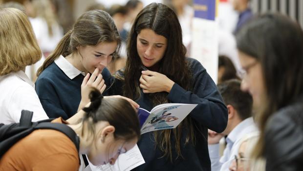 Dios es matemáticas