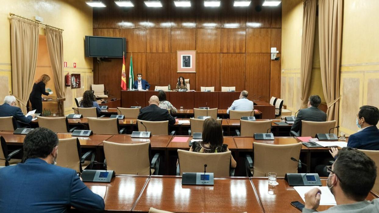 El PSOE y Adelante abandonan la comisión de recuperación en el Parlamento andaluz al presidirla Vox