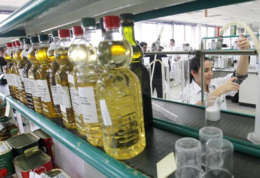 Trabajo en los laboratorios de Deoleo