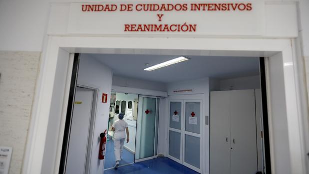 Radiografía del coronavirus | Diez claves de un impacto en Córdoba menor que en Andalucía