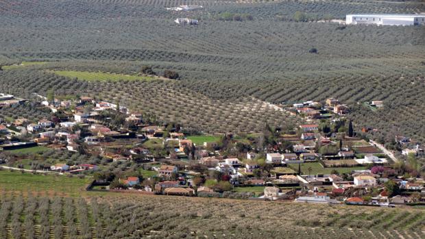 La oposición en bloque tumba la tasa del Ayuntamiento de Lucena para regularizar viviendas ilegales