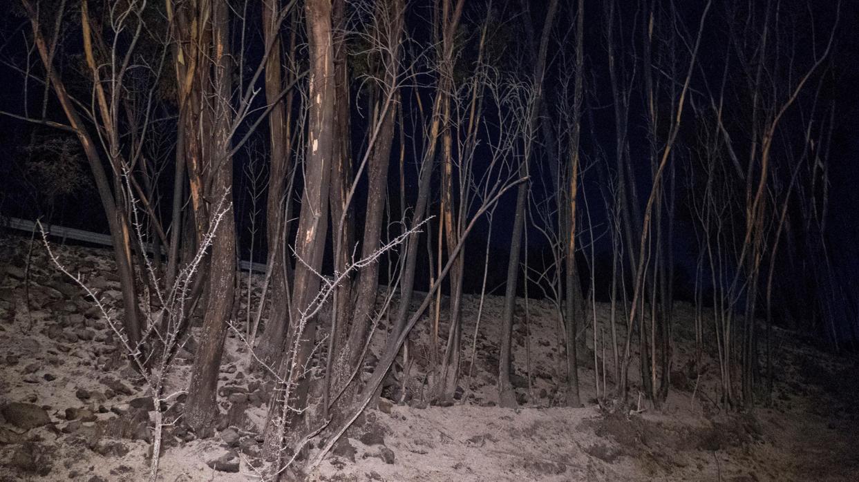 Vista de los desperfectos causados por el incendio en Almonaster la Real