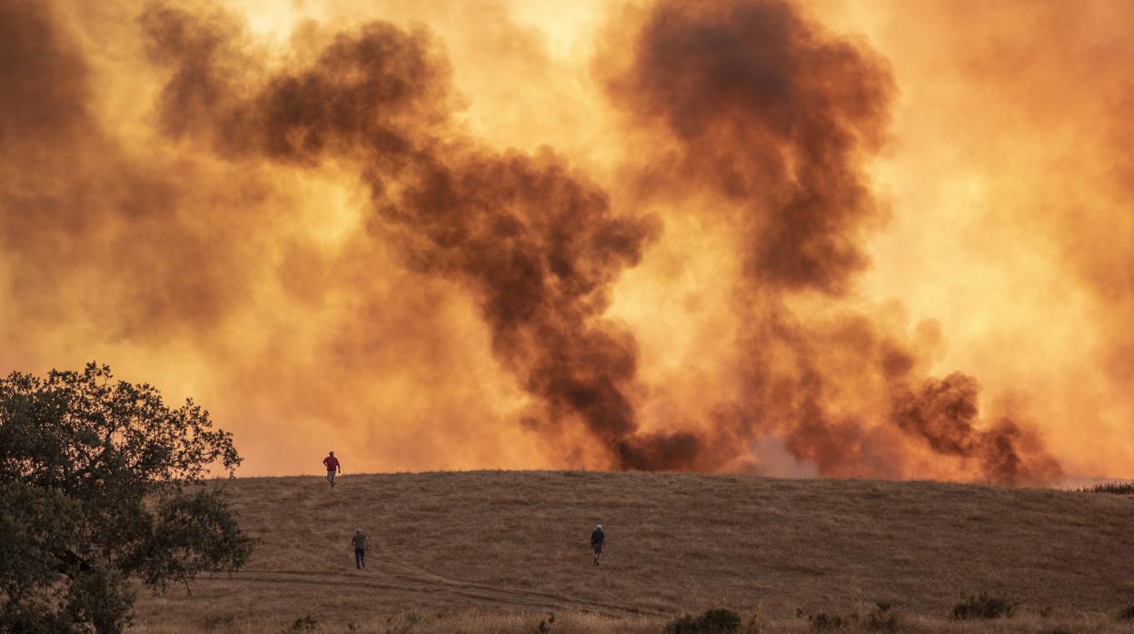 Las llamas se levantan a metros del suelo ante los efectivos contra incendios