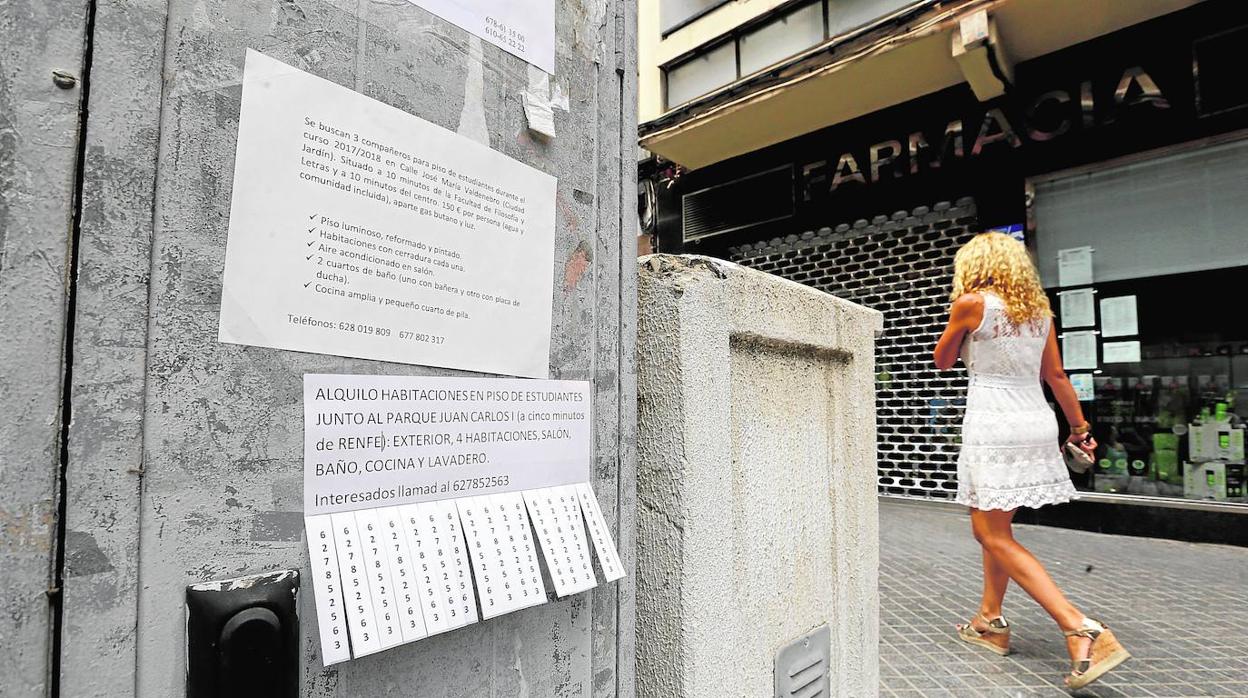 Una mujer pasa delante de varios anuncios de pisos de estudiantes