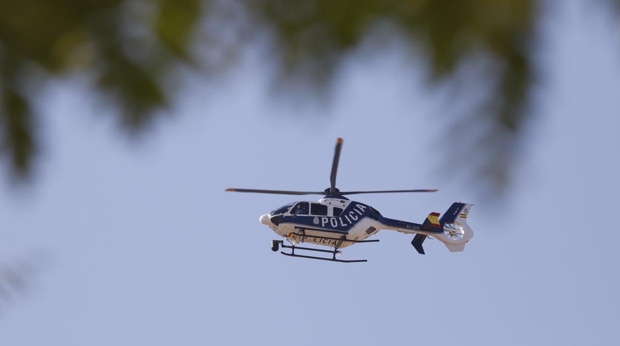 En la búsqueda participan medios aéreos