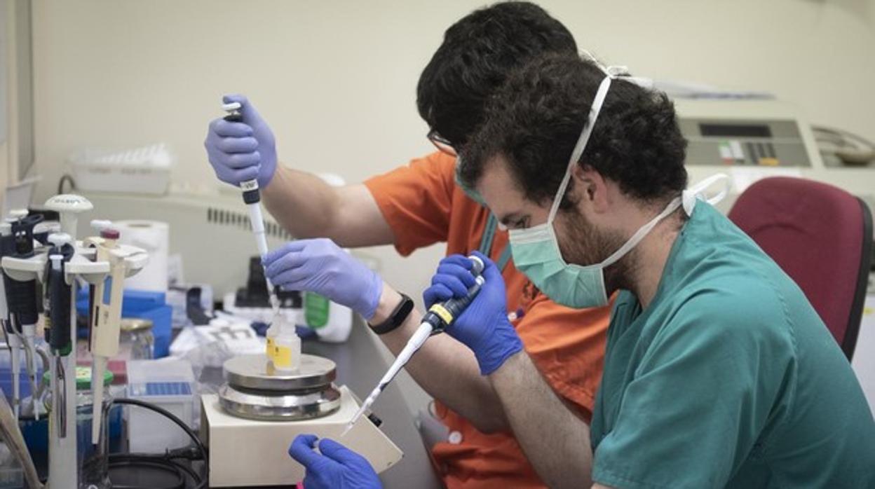 Análisis de test de coronavirus en un laboratorio