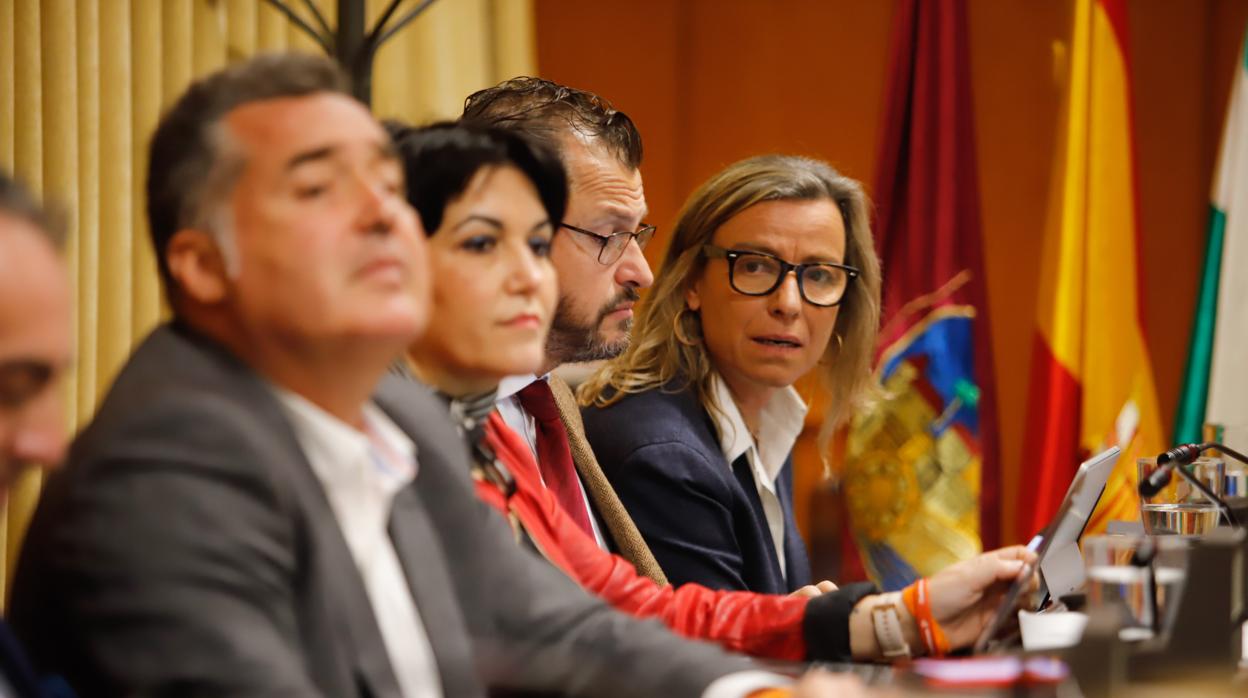 Grupo municipal de Ciudadanos