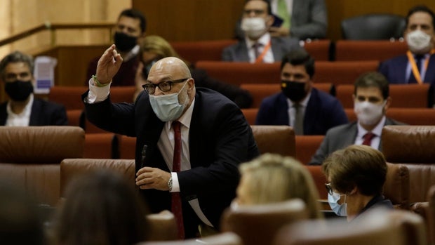 Vox vuelve el lunes a la actividad parlamentaria en Andalucía aunque su portavoz no pide disculpas por el incidente