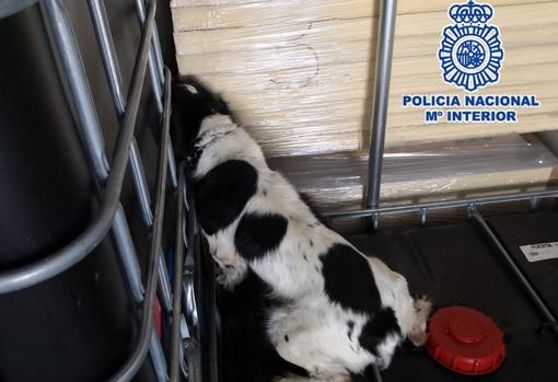 Neo durante la búsqueda de los 1.200 kilos de hachís por los que le dieron la medalla