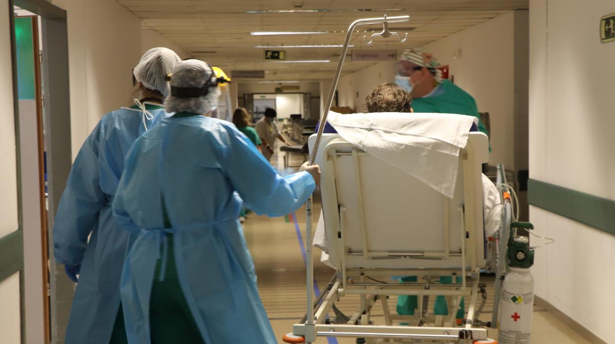 Sanitarios conducen una camilla con un paciente en la Unidad de Urgencias del Hospital Reina Sofía de Córdoba