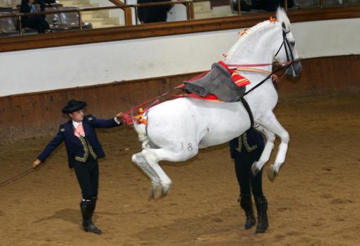 Escuela Andaluza de Arte Ecuestre
