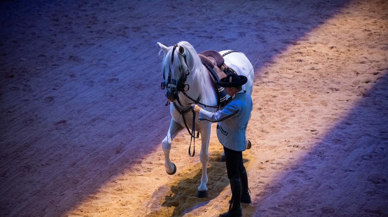 Un momento del espectáculo «Cómo bailan los caballos andaluces»