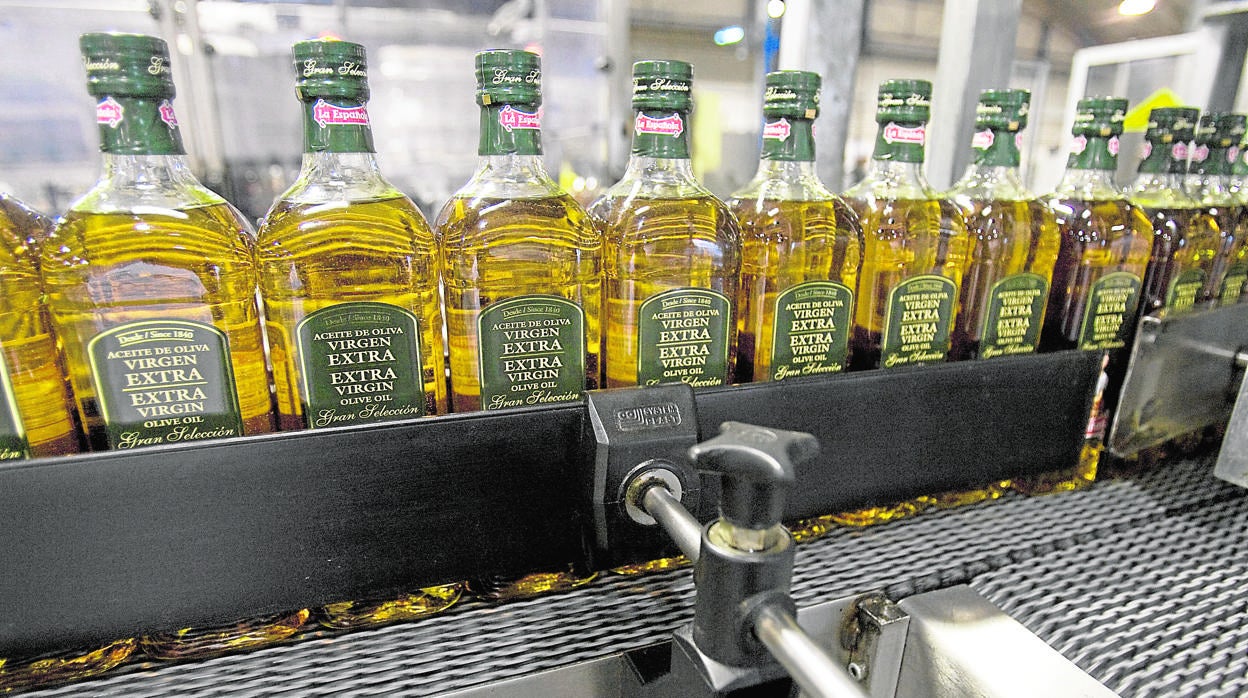 Planta de envasado de una fábrica de aciete de oliva