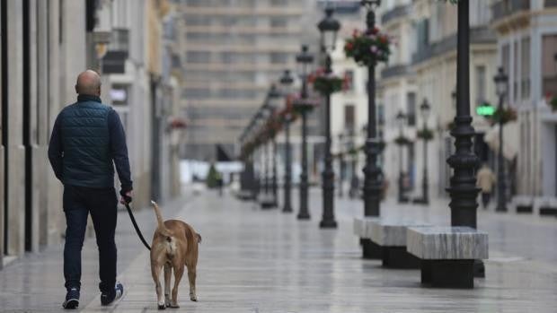 Qué actividades son esenciales y esquivan el cierre a partir del miércoles en Málaga capital por el Covid