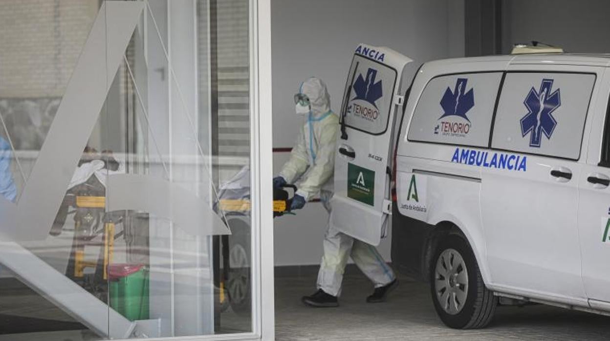 Ingreso de pacientes en el Hospital de Emergencia Covid, antiguo Militar de Sevilla