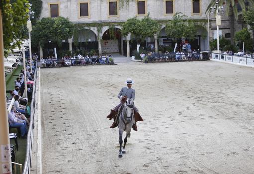 Imagen de una competición durante la última feria de Cabalcor, en Caballerizas Reales