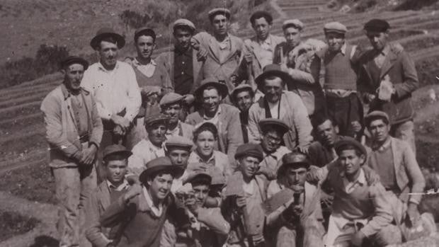 Los primeros reforestadores