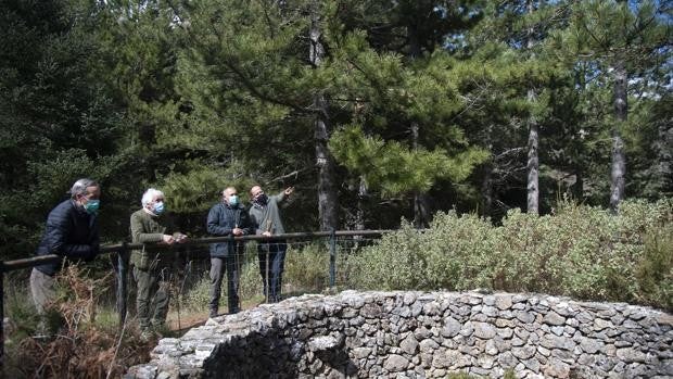 Nieve para conservar los manjares del Rey