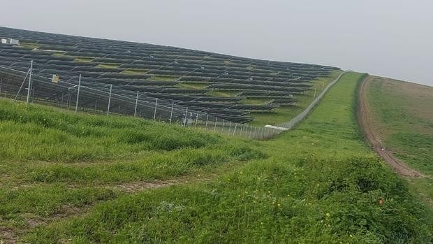El ducado de Plasencia denuncia expropiación forzosa en una finca de Espejo (Córdoba) para instalar placas solares