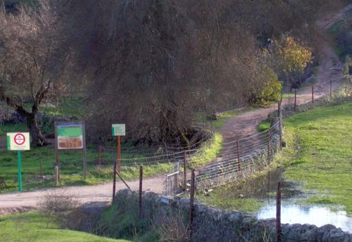 Tramo del camino entre El Cerezo y la Venta del Charco, en Cardeña