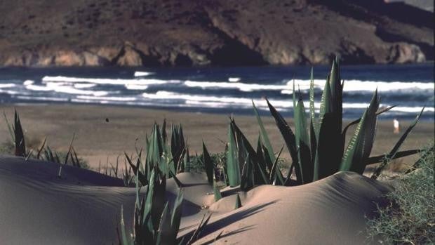 Guía de restricciones en Almería hasta el día 23 de abril: toque de queda, movilidad y horarios