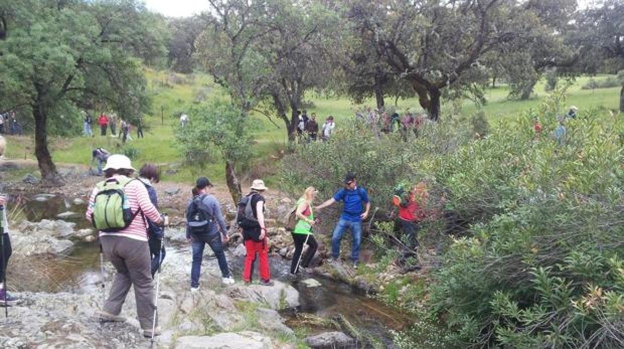 Senderistas recorriendo una ruta