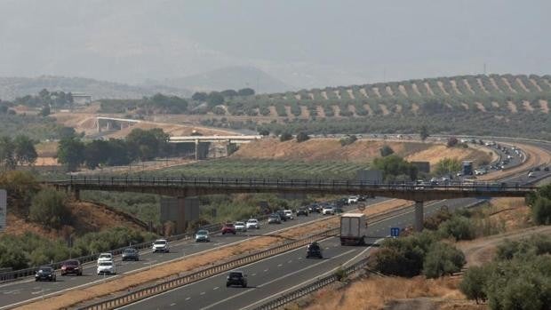 Nuevas medidas Covid en Jaén tras el 9 de mayo: toque de queda, movilidad, cierre perimetral y horarios de bares