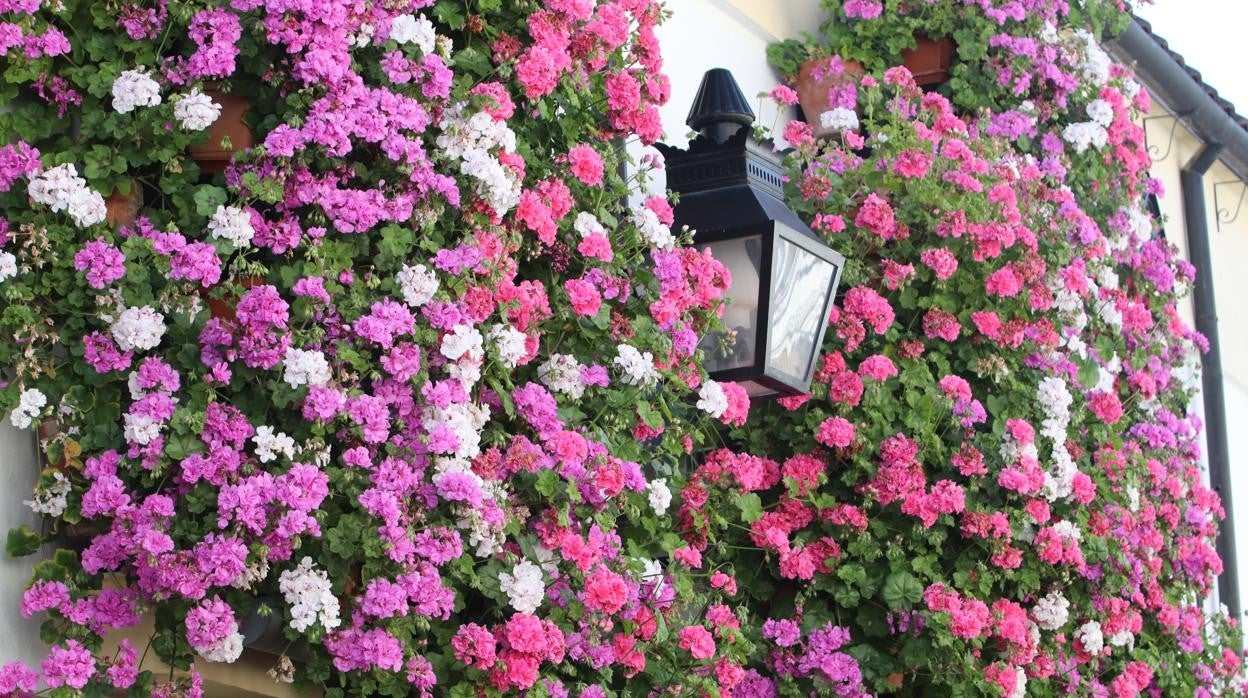 Casa de Tinte, 3 que ha obtenido el primer premio