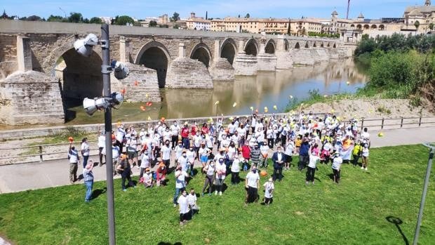 Sadeco proyecta la vía verde de 6 kilómetros de puente a puente por el Guadalquivir en Córdoba