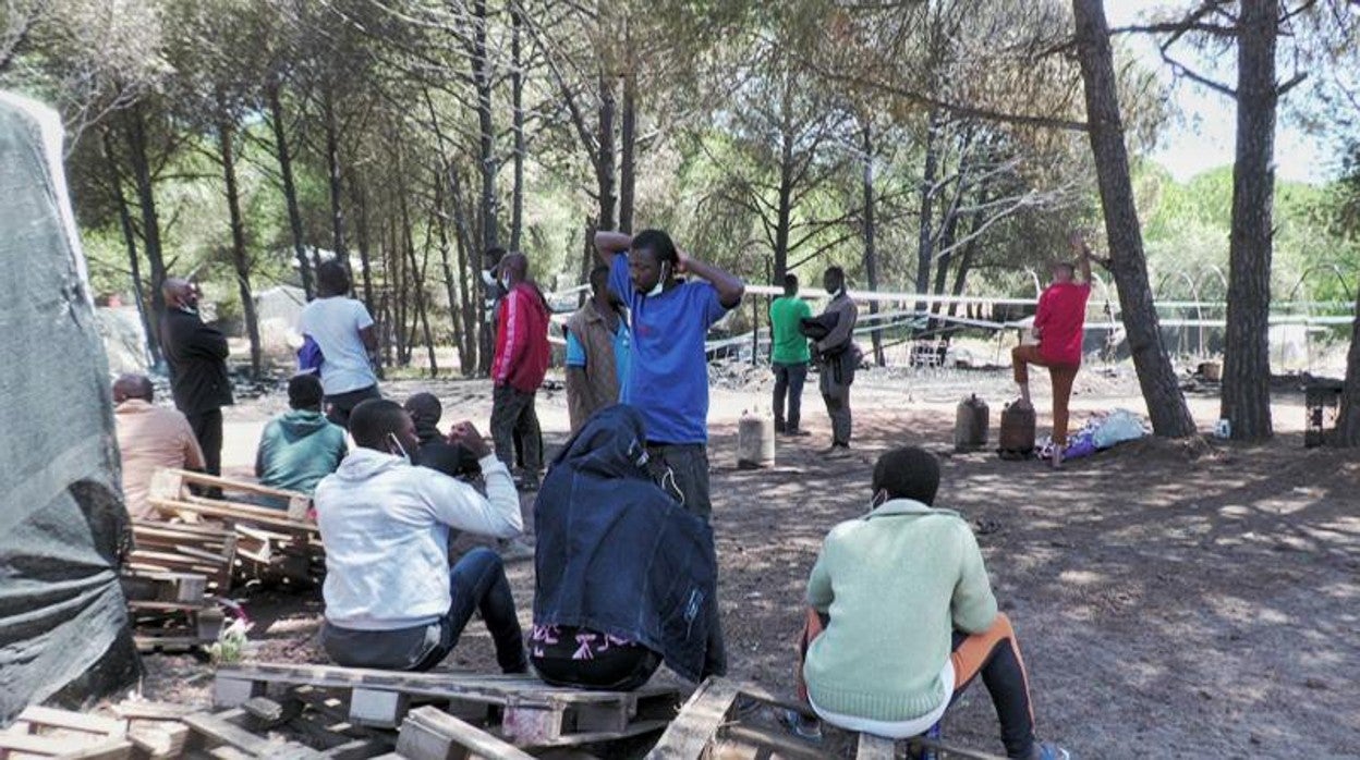 Habitantes del asentamiento de Lucena del Puerto tras el incendio de esta semana