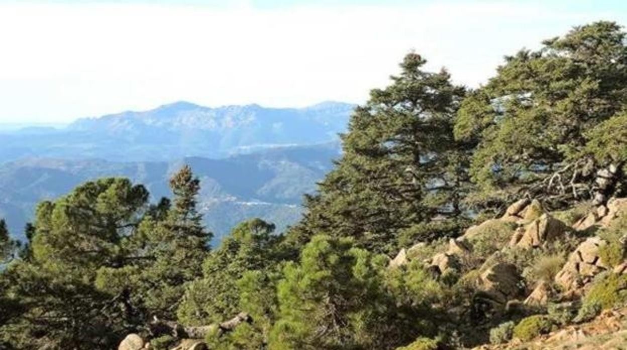 La consejera Carmen Crespo, este martes en el palacio de San Telmo